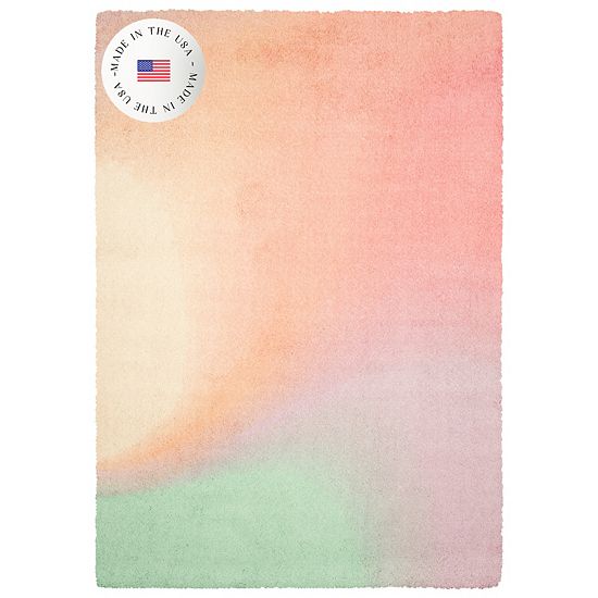 The Big One™ Ombre Pink Shag Area Rug